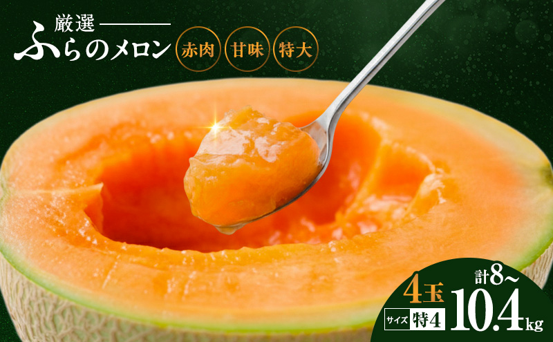 【令和8年産】ふらの 赤肉メロン 厳選 甘味 特4サイズ 2kg～2.6kg 4玉 セット ファーム富良野 メロン めろん 富良野メロン 果物 くだもの フルーツ 富良野 デザート 北海道 先行受付 北海道上富良野町