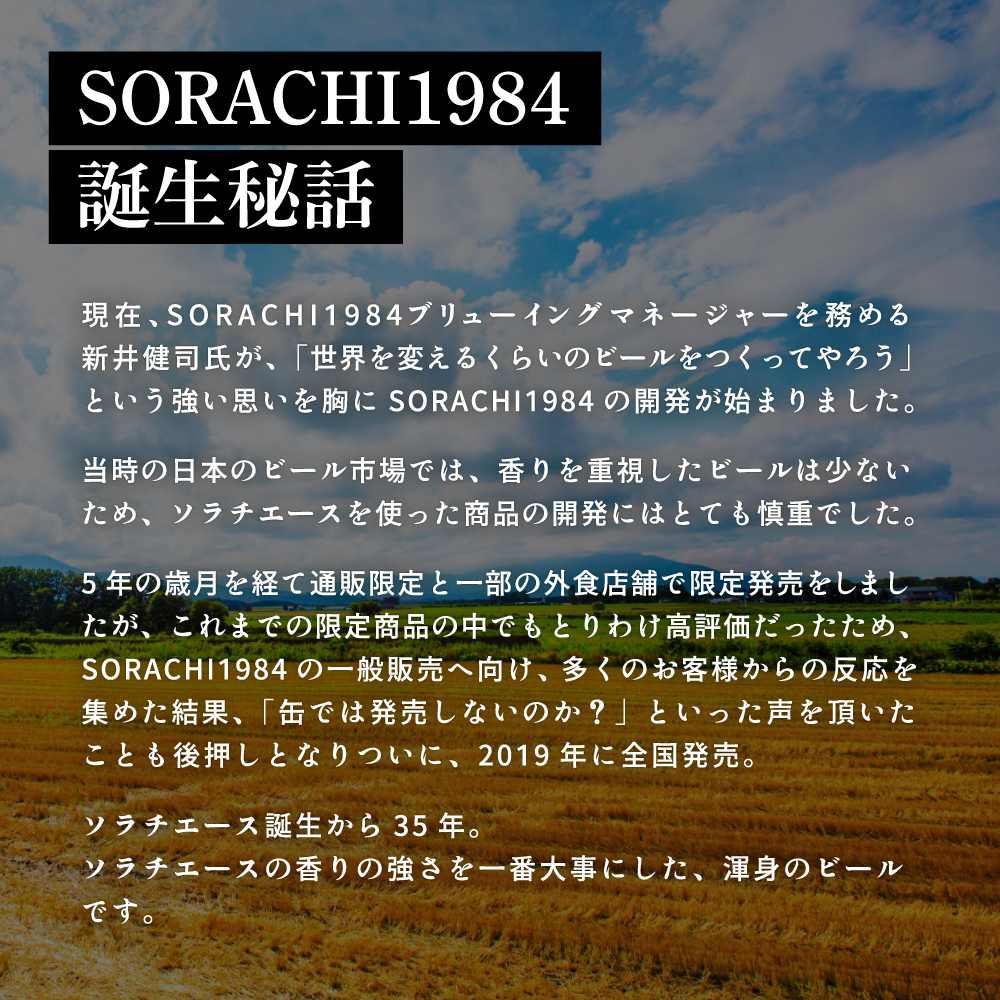 上富良野町発祥！伝説のホップ「ソラチエース」使用【SORACHI 1984】350ml×24缶 株式会社 ヤマイチ 北海道 上富良野町 ソラチ1984 お酒 酒 飲み物 ビール 地ビール