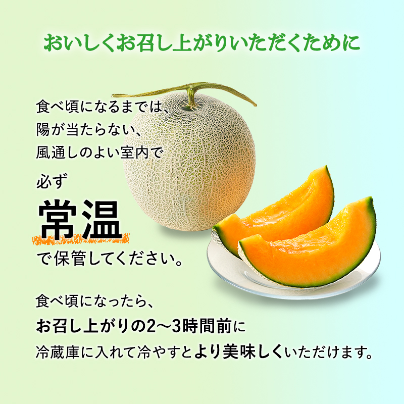 【糖度限界突破】ふらの赤肉メロン Lサイズ（約1.7kg/玉）2玉 2024年発送 北海道 富良野 上富良野 ふらの 赤肉 メロン めろん フルーツ 果物 ふるーつ