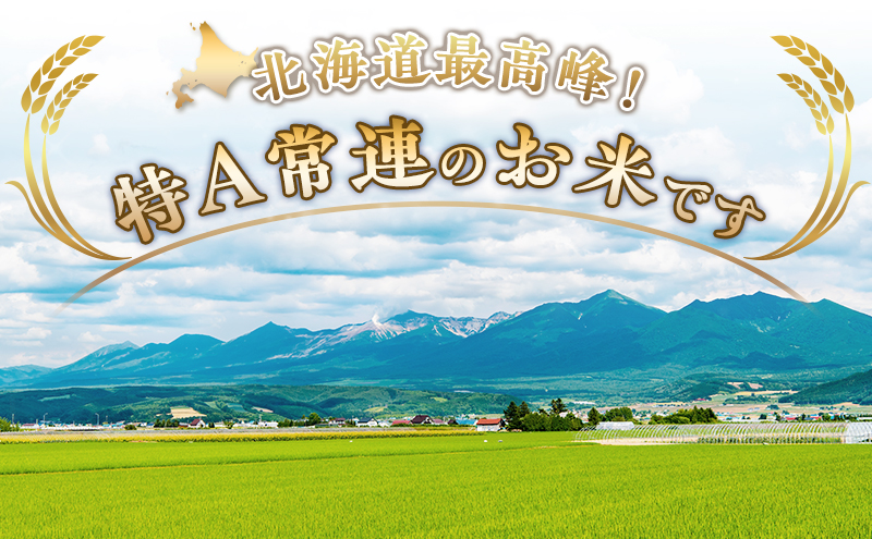 【令和8年産】2026年11月から順次出荷 ≪9ヵ月定期便≫北海道上富良野町産【ゆめぴりか】5kg お米 白米 精米 ブランド米 ご飯 おにぎり お弁当 和食 産地直送 甘み 安全 安心 食卓 