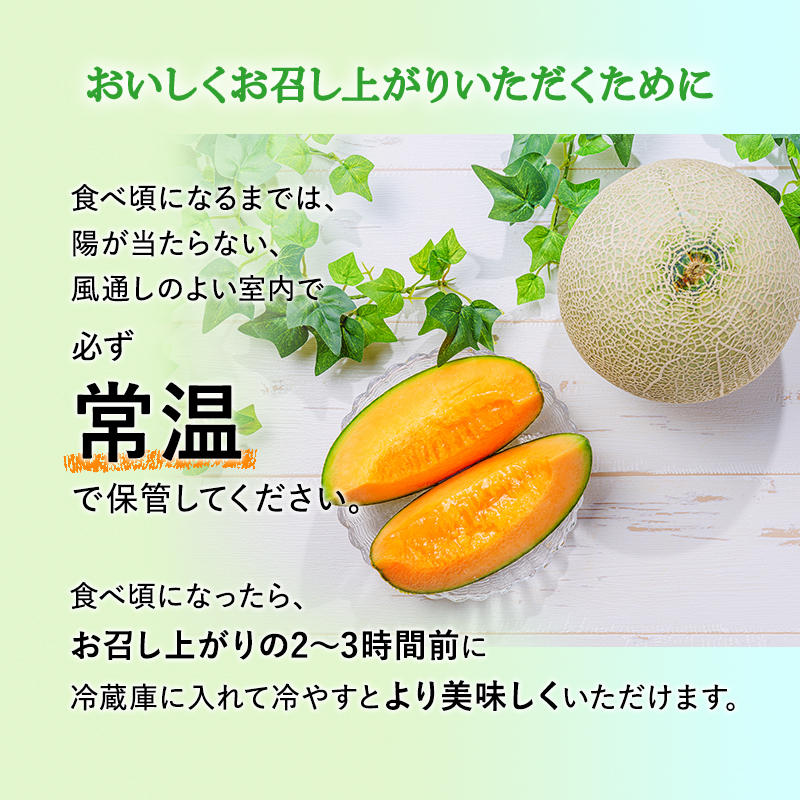 【 2025年 発送 】 先行予約 メロン かみふらの 赤肉 メロン 約 1.6kg 2玉 セット めろん 果物 フルーツ デザート くだもの 旬の果物 旬のフルーツ 北海道 上富良野 産地直送