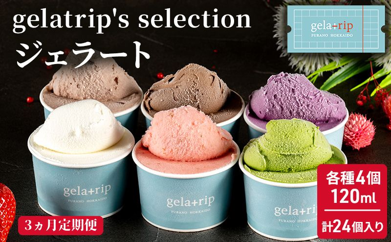 ≪3ヵ月定期便≫ gelatrip's selection ジェラート24個BOX ひんやりスイーツ おやつ デザート 食後 ミルク ビターチョコラータ イチゴ ラムレーズン ハスカップ ブルーベリーミルク