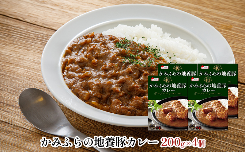 缶ビール(SORACHI1984)8缶＆地養豚カレー4箱セット 北海道 上富良野町 ソラチ1984 地ビール ビール カレー 缶