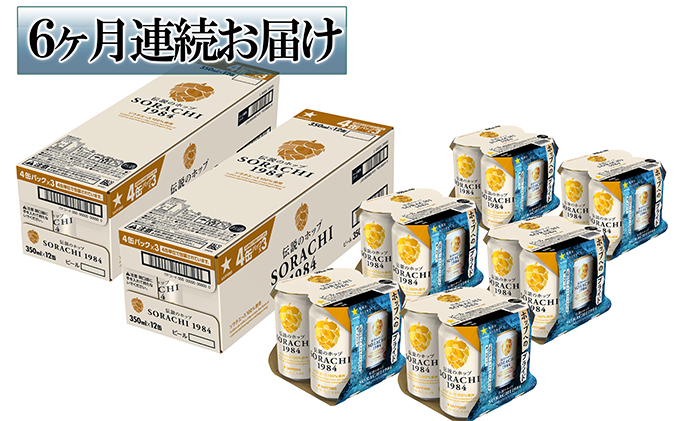 ◆6ヶ月定期便◆上富良野町発祥！伝説のホップ「ソラチエース」使用【SORACHI 1984】350ml×24缶 北海道 上富良野町 ソラチ1984 お酒 酒 飲み物 ビール 地ビール サッポロビール サッポロ ギフト 