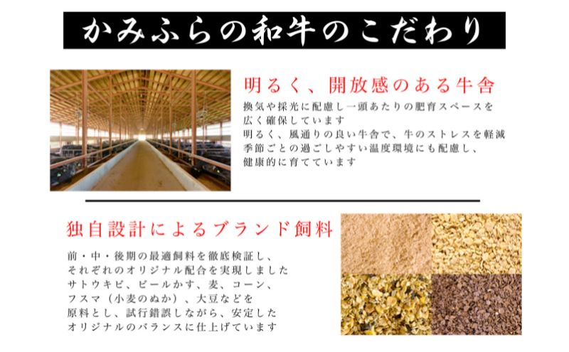 ãã¿ãµãã®åçãµãŒãã€ã³ã¹ããŒãçš èš1.2kgïŒçŽ200gÃ6æïŒçè åœç£ åç ã¹ããŒã