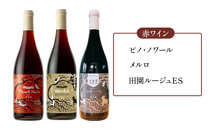 【3ヵ月定期便】野生酵母で醸したワイン 毎月3本お届け (3ヵ月間) 多田ワイナリー 北海道 上富良野町 ワイン 赤ワイン 白ワイン 微発泡ワイン オレンジワイン