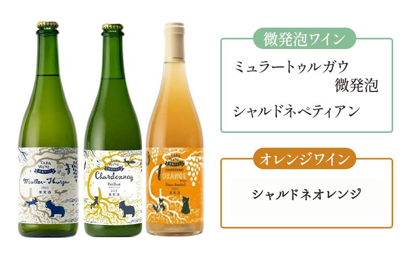 【3ヵ月定期便】野生酵母で醸したワイン 毎月3本お届け (3ヵ月間) 多田ワイナリー 北海道 上富良野町 ワイン 赤ワイン 白ワイン 微発泡ワイン オレンジワイン