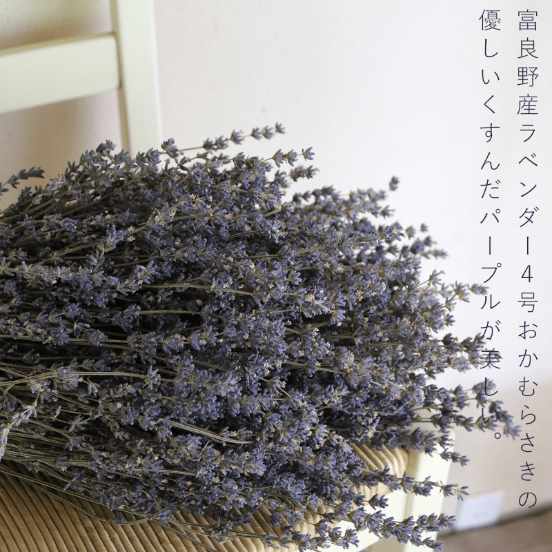 縲2025蟷エ9譛井ク頑流縺九i鬆谺。縺雁ア翫¢縲大ッ瑚憶驥 闃ア荳譖 荳雁ッ瑚憶驥 繝ゥ繝吶Φ繝繝シ 繝悶シ繧ア L繧オ繧、繧コ 笳 繝峨Λ繧、繝輔Λ繝ッ繝シ 闃ア譚 闃ア 繧、繝ウ繝繝ェ繧「 髮題イィ 讀咲黄 繧ョ繝輔ヨ 繝励Ξ繧シ繝ウ繝 雍医j迚ゥ