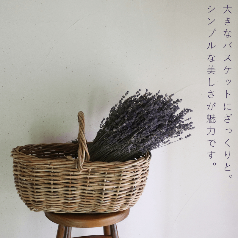 縲2025蟷エ9譛井ク頑流縺九i鬆谺。縺雁ア翫¢縲大ッ瑚憶驥 闃ア荳譖 荳雁ッ瑚憶驥 繝ゥ繝吶Φ繝繝シ 繝悶シ繧ア L繧オ繧、繧コ 笳 繝峨Λ繧、繝輔Λ繝ッ繝シ 闃ア譚 闃ア 繧、繝ウ繝繝ェ繧「 髮題イィ 讀咲黄 繧ョ繝輔ヨ 繝励Ξ繧シ繝ウ繝 雍医j迚ゥ