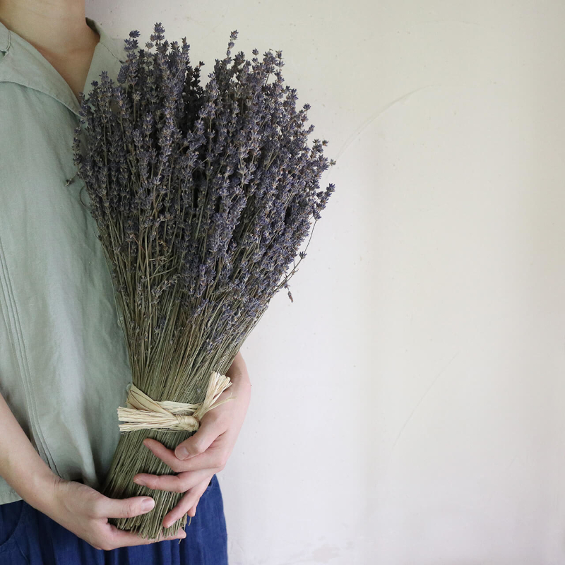 縲2025蟷エ9譛井ク頑流縺九i鬆谺。縺雁ア翫¢縲大ッ瑚憶驥 闃ア荳譖 荳雁ッ瑚憶驥 繝ゥ繝吶Φ繝繝シ 繝悶シ繧ア L繧オ繧、繧コ 笳 繝峨Λ繧、繝輔Λ繝ッ繝シ 闃ア譚 闃ア 繧、繝ウ繝繝ェ繧「 髮題イィ 讀咲黄 繧ョ繝輔ヨ 繝励Ξ繧シ繝ウ繝 雍医j迚ゥ