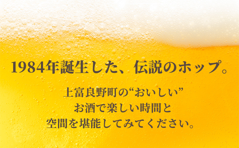 炭酸水 500ml × 24本 北海道富良野ホップ炭酸水+ビール SORACHI1984 350ml × 24缶 グリーンシャワー ポッカサッポロ 無糖 炭酸飲料 伝説のホップ ソラチエース ソラチ 1984 サッポロビール 地ビール お酒 (有)リカーショップかまだ 北海道 上富良野町