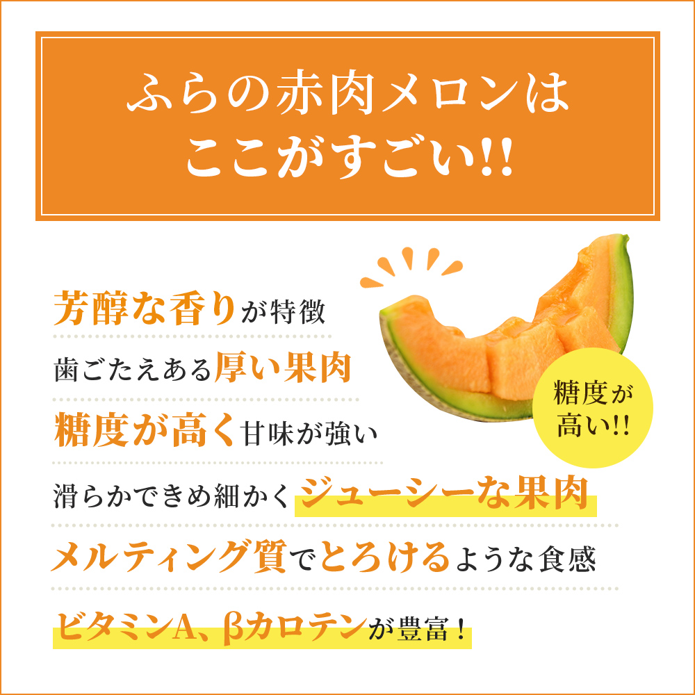 【 2025年発送 先行予約 】 定期便 全3回 メロン ふらの 赤肉メロン 2kg～2.6kg 2玉 厳選 秀品 特4サイズ セット めろん 果物 フルーツ デザート くだもの 旬の果物 旬のフルーツ ファーム富良野 北海道