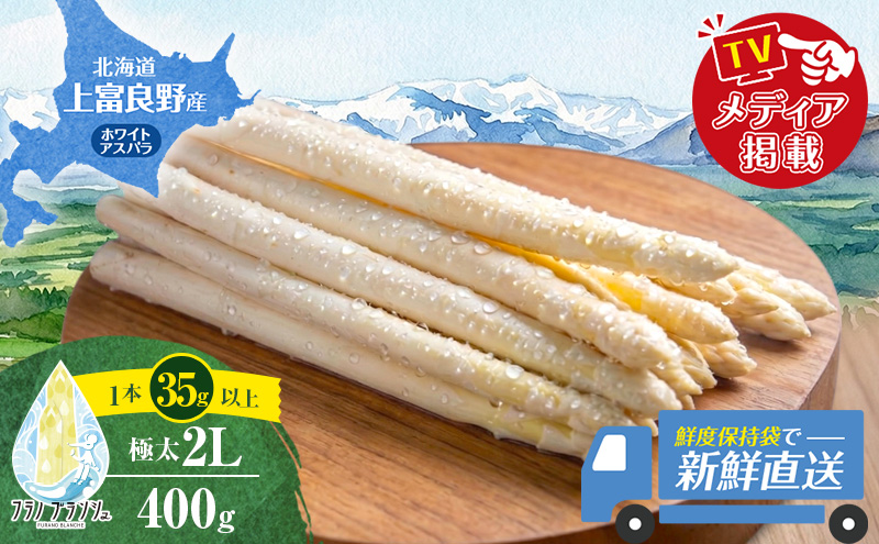 【令和8年産】 〔メディア掲載されました〕 ホワイト アスパラガス 2L 400g 春アスパラ 野菜 旬 新鮮 産地直送 甘い 極太 お取り寄せ グルメ 高評価 限定 北海道 上富良野産