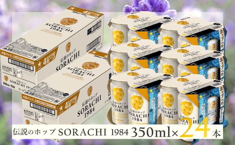 ビール SORACHI1984 350ml × 24缶 上富良野町発祥！ 伝説のホップ ソラチエース ソラチ sorachi ソラチ1984 サッポロビール サッポロ 地ビール お酒 酒 アルコール  北海道 上富良野町