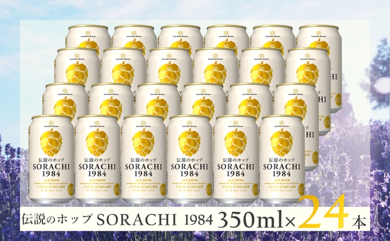 【2ヵ月連続定期便】北海道 上富良野町発祥 伝説のホップ SORACHI 1984 350ml×24缶 ソラチエース使用 サッポロ ビール クラフトビール 酒 アルコール 日用品 お酒