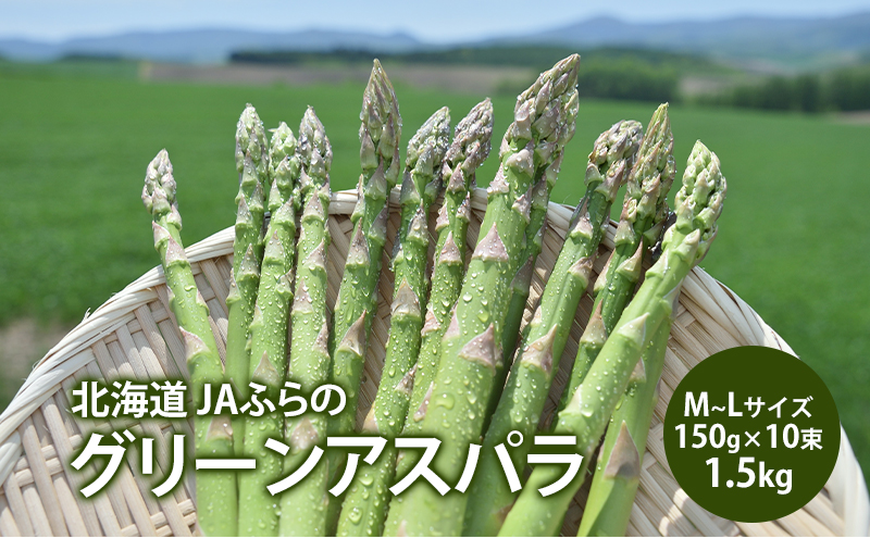 アスパラガス グリーンアスパラ 1.5kg M～L アスパラ あすぱら 野菜 北海道 上富良野町 ふらの農業協同組合