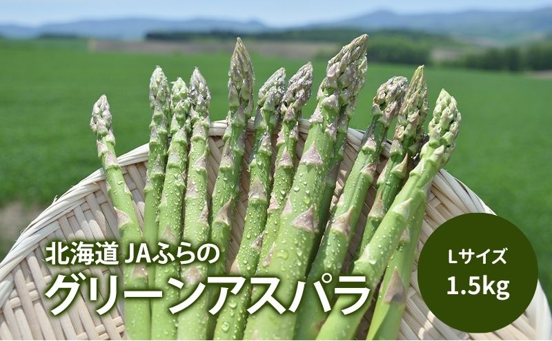 【令和8年産】アスパラガス グリーンアスパラ 1.5kg Lサイズ アスパラ 野菜 北海道 上富良野町 ふらの農業協同組合