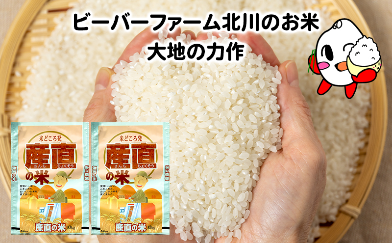 ななつぼし 米 20kg 精米 令和6年産 北海道産 お米 こめ 白米 ご飯 ごはん 食品 人気 上富良野 かみふらの 国産 北海道 上富良野町