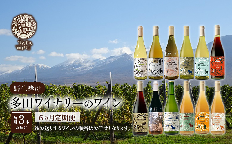 6ヵ月定期便◆野生酵母ワイン 毎月3本お届け(6ヵ月間) 多田ワイナリー 北海道 上富良野町 ワイン 赤ワイン 白ワイン 微発泡ワイン オレンジワイン