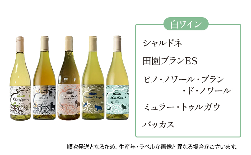 ワイン6ヵ月定期便◎月2本×6回◎多田ワイナリー◎野生酵母ワイン 北海道 上富良野町 ワイン 赤ワイン 白ワイン 微発泡ワイン オレンジワイン