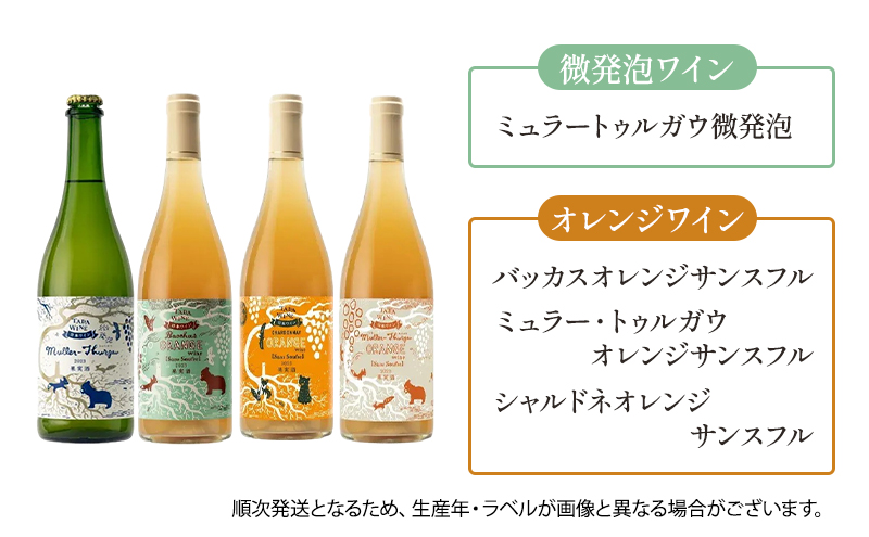 ワイン6ヵ月定期便◎月2本×6回◎多田ワイナリー◎野生酵母ワイン 北海道 上富良野町 ワイン 赤ワイン 白ワイン 微発泡ワイン オレンジワイン