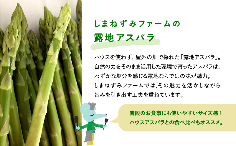 【令和8年産】先行予約 北海道 上富良野産 露地 グリーン アスパラガス Lサイズ 800g アスパラ グリーンアスパラ 上富良野町 野菜 やさい 