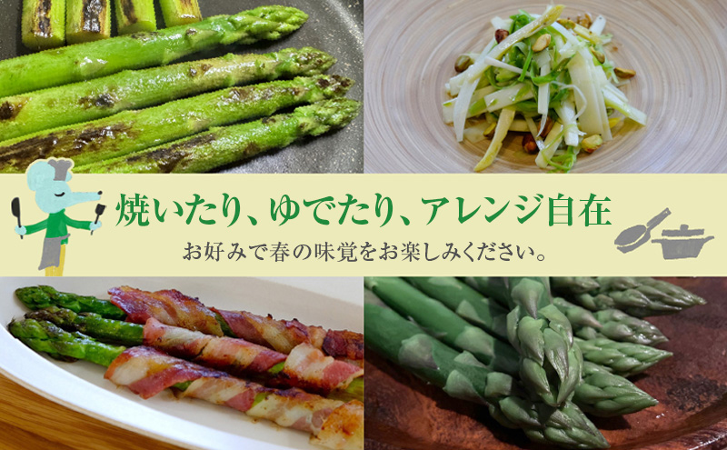 【令和8年産】 〔メディア掲載されました〕 露地 グリーン アスパラガス L 800g 春アスパラ 野菜 旬 新鮮 産地直送 甘い お取り寄せ グルメ 高評価 限定 北海道 上富良野産 
