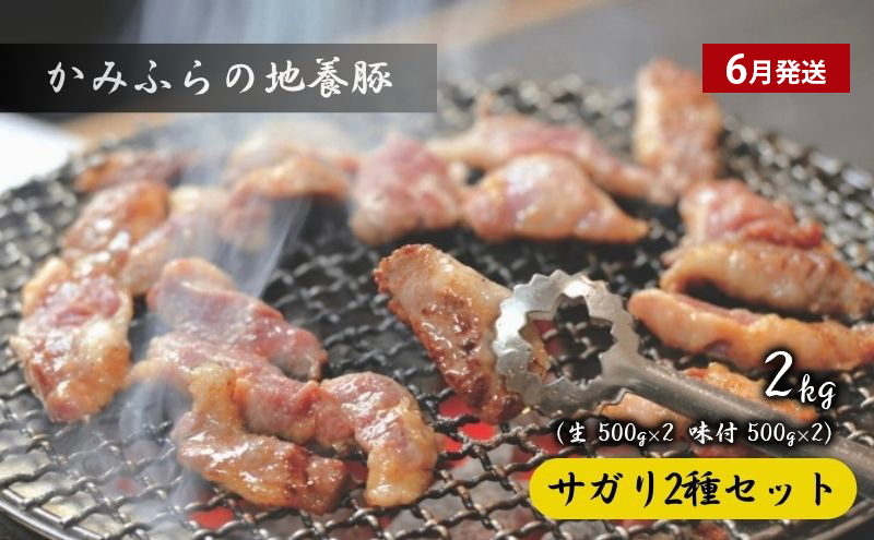 ã什å7幎ç£ãäžå¯è¯éç¹ç£åå®æäŸ¿ ã¢ã¹ãã©ã¬ã¹ ãµã¬ãª ã¡ãã³ èµ€è