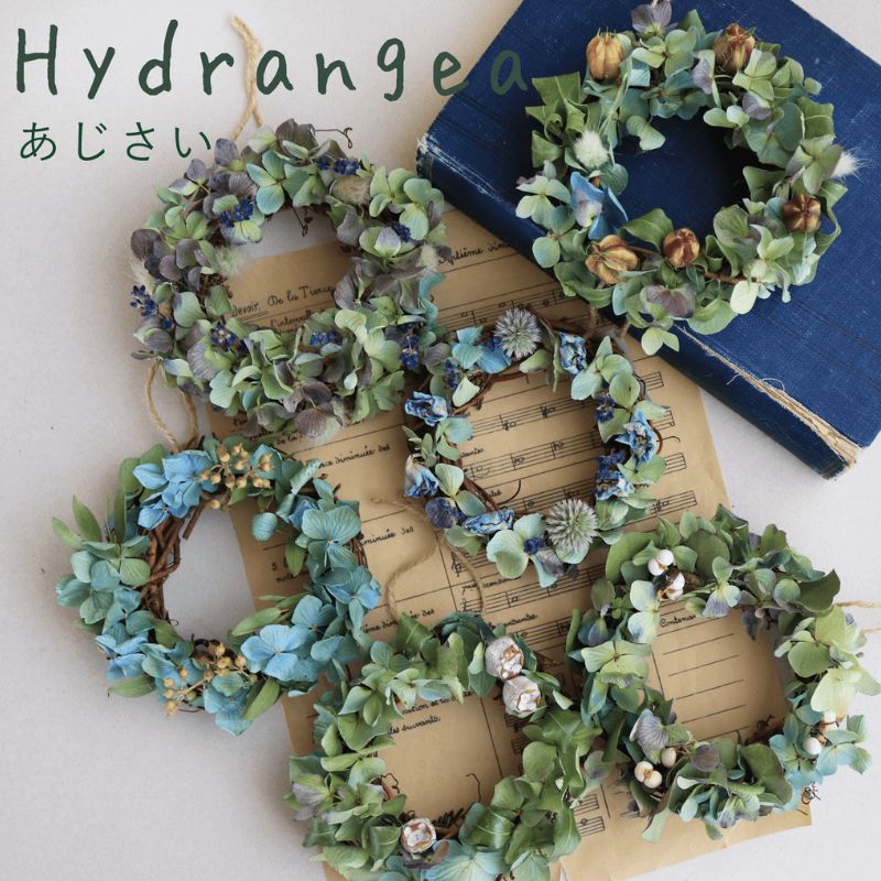 富良野 花七曜 リースと焼菓子セット Cat mini ラベンダー あじさい ◆ ドライフラワー