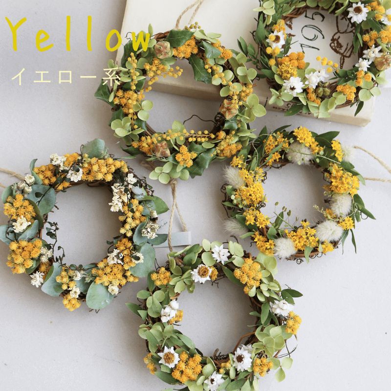 å¯è¯é è±äžæ ãªãŒã¹ãšçŒèåã»ãã Cat mini ã©ãã³ã㌠ã€ãšã㌠â ãã©ã€ãã©ã¯ãŒ