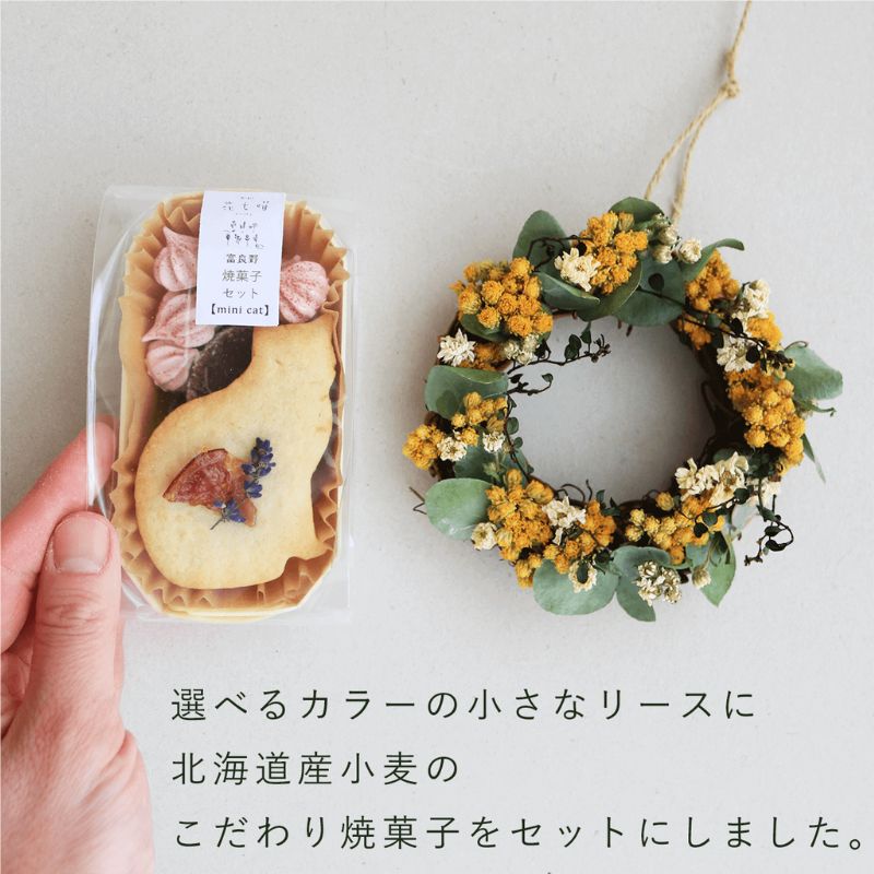 å¯è¯é è±äžæ ãªãŒã¹ãšçŒèåã»ãã Cat mini ã©ãã³ã㌠ã€ãšã㌠â ãã©ã€ãã©ã¯ãŒ