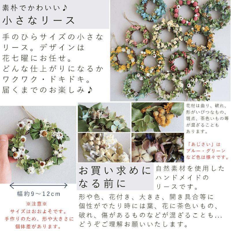 å¯è¯é è±äžæ ãªãŒã¹ãšçŒèåã»ãã Cat mini ã©ãã³ã㌠ã€ãšã㌠â ãã©ã€ãã©ã¯ãŒ