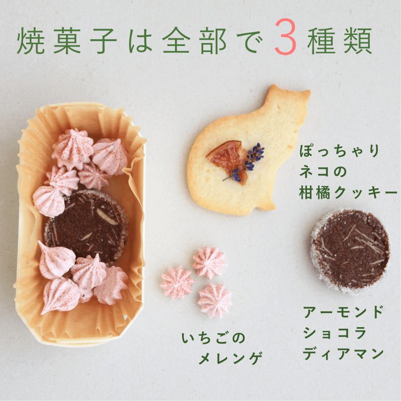 富良野 花七曜 リースと焼菓子セット Cat mini ラベンダー ピンク ◆ ドライフラワー