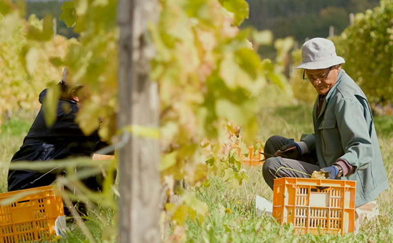 ãéçé
µæ¯ãæ··éžã¯ã€ã³ èµ€çœ èš2æ¬ å€ç°ã¯ã€ããªãŒ åæµ·é äžå¯è¯éçº ã¯ã€ã³ èµ€ã¯ã€ã³ çœã¯ã€ã³ ã»ãã ãé
ã¢ã«ã³ãŒã«