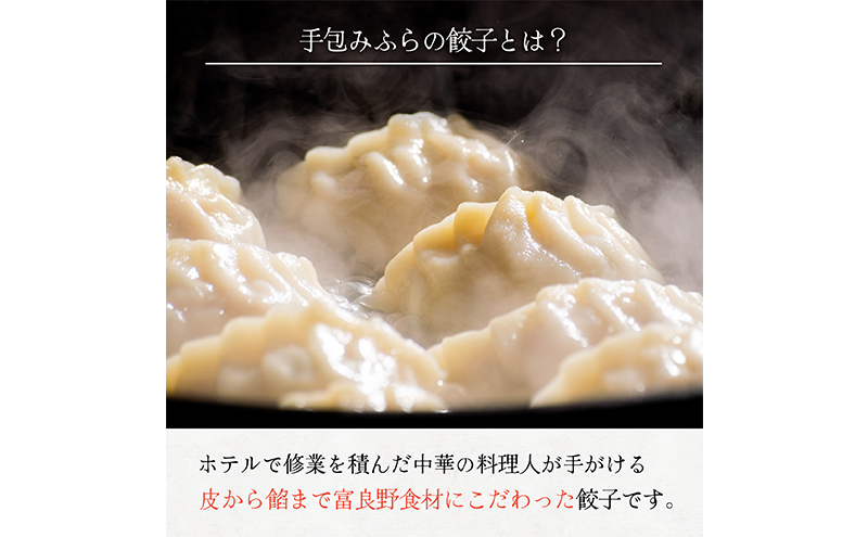 【かみふらのポーク 使用】 手包み ふらの餃子 20個入×2袋 業務用 ジャンボ サイズ 中華 冷凍 即席 食品 簡単 加工品 調理不要 おかず 手作り ふらの 北海道 上富良野町 北の恵