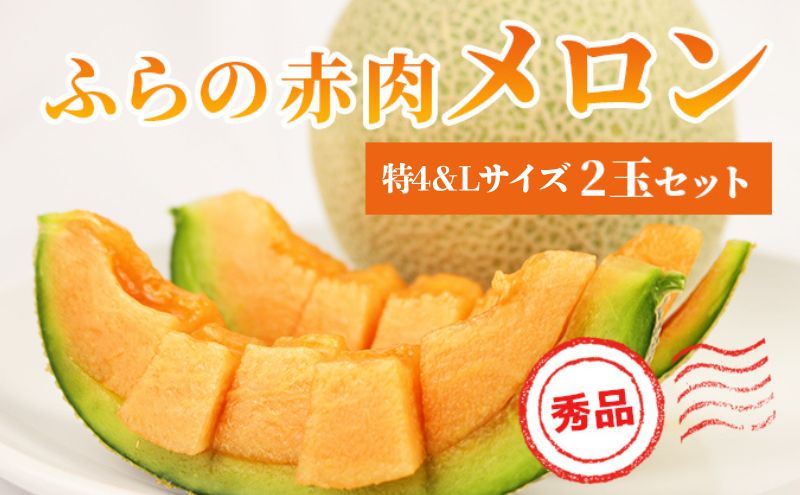 【 2026年発送 先行予約 】 ふらの 赤肉メロン 特4 2kg～2.6kg Lサイズ 1.6kg～1.9kg 各1玉(計2玉) 厳選 秀品 特4サイズ セット めろん フルーツ デザート くだもの 旬の果物 旬のフルーツ ファーム富良野 北海道