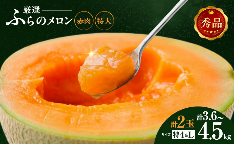 【令和8年産】ふらの 赤肉メロン 特4 2kg～2.6kg Lサイズ 1.6kg～1.9kg 各1玉(計2玉) 厳選 秀品 特4サイズ セット めろん フルーツ デザート くだもの 旬の果物 旬のフルーツ ファーム富良野 北海道