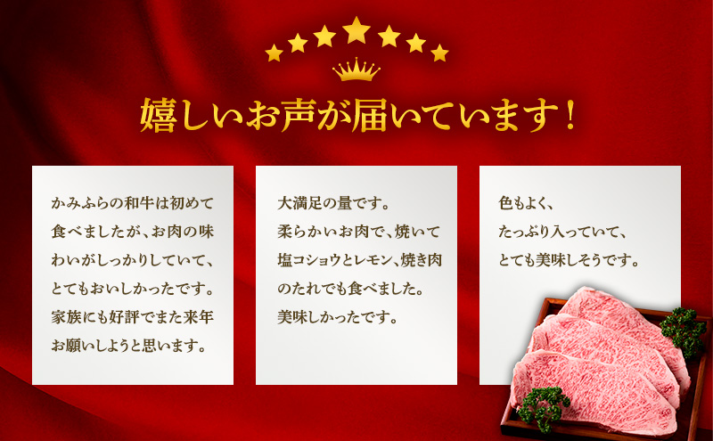 かみふらの和牛 厚切りサーロイン 400g 牛肉  黒毛和牛 国産牛 高級ステーキ 肉ギフト お取り寄せ 北海道産 贅沢 希少部位 家族向け BBQ 焼肉 プレゼント用 農林水産賞受賞