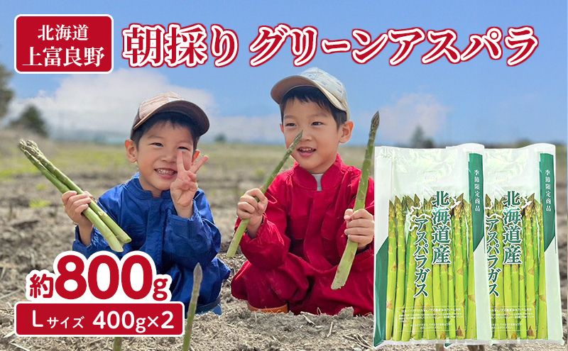 数量限定！【2026年分先行予約】 アスパラガス 専門農家 の 特選 グリーン アスパラ 800g  L サイズ 原農園 アスパラ あすぱら 野菜 北海道 上富良野町