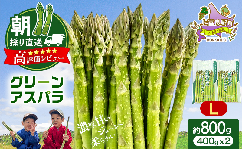 数量限定！  【令和8年産】 アスパラガス 専門農家 の 特選 グリーン アスパラ 800g  L サイズ 原農園 アスパラ あすぱら 野菜 北海道 上富良野町