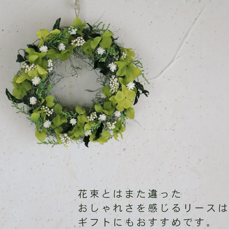 å¯è¯éè±äžæ ãã§ã¢ãªãŒãããªãŒã¹ ïŒ ãã¯ã€ã ïŒ ããã¥ã©ã«ãããã ããªã¶ãŒãããã©ã¯ãŒ ãªãŒã¹ è± ã€ã³ããªã¢ è£
食å ã¢ã¬ã³ãž ã®ãã ãã¬ãŒã³ã åæµ·é äžå¯è¯éçº