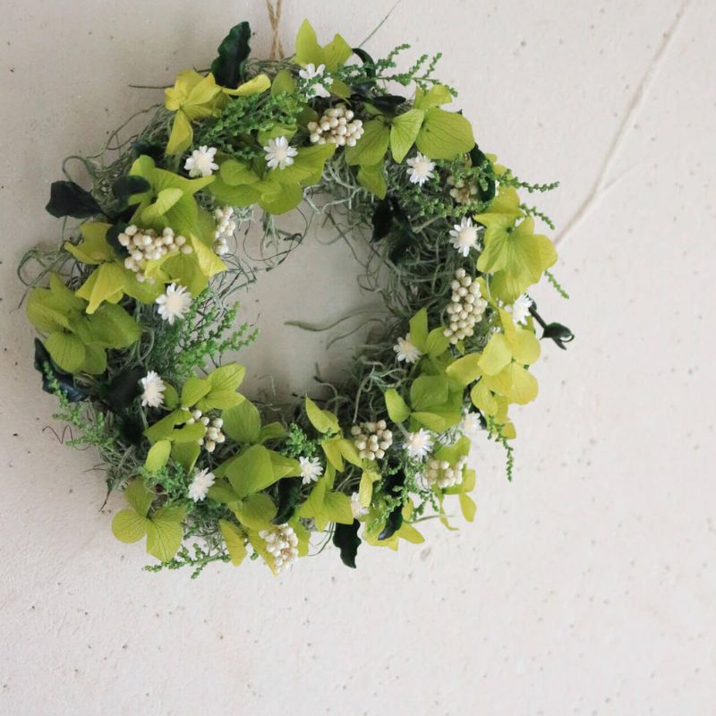 å¯è¯éè±äžæ ãã§ã¢ãªãŒãããªãŒã¹ ïŒ ãã¯ã€ã ïŒ ããã¥ã©ã«ãããã ããªã¶ãŒãããã©ã¯ãŒ ãªãŒã¹ è± ã€ã³ããªã¢ è£
食å ã¢ã¬ã³ãž ã®ãã ãã¬ãŒã³ã åæµ·é äžå¯è¯éçº