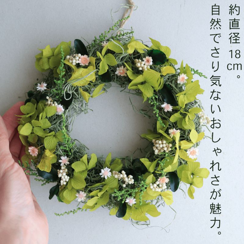 å¯è¯éè±äžæ ãã§ã¢ãªãŒãããªãŒã¹ ïŒ ãã³ã¯ ïŒ ããã¥ã©ã«ãããã ããªã¶ãŒãããã©ã¯ãŒ ãªãŒã¹ è± ã€ã³ããªã¢ è£
食å ã¢ã¬ã³ãž ã®ãã ãã¬ãŒã³ã åæµ·é äžå¯è¯éçº