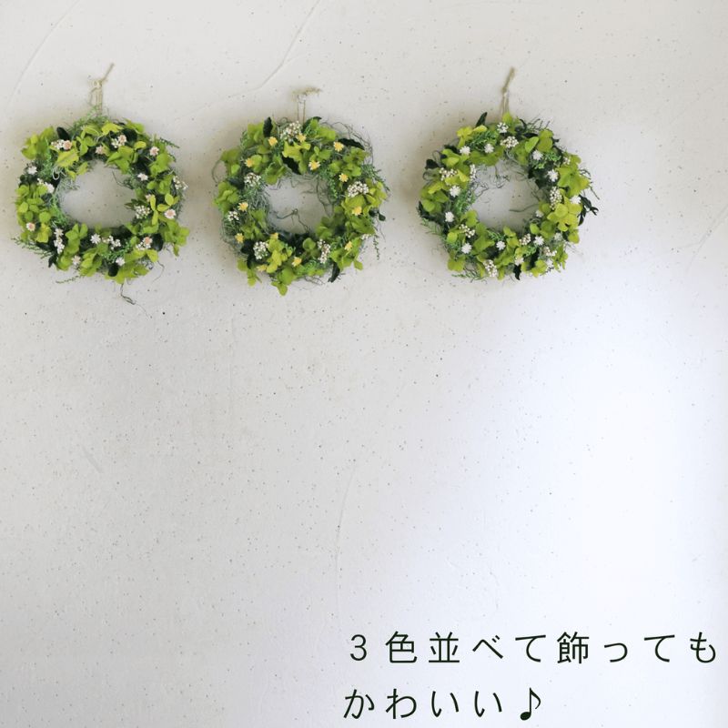 å¯è¯éè±äžæ ãã§ã¢ãªãŒãããªãŒã¹ ïŒ ãã³ã¯ ïŒ ããã¥ã©ã«ãããã ããªã¶ãŒãããã©ã¯ãŒ ãªãŒã¹ è± ã€ã³ããªã¢ è£
食å ã¢ã¬ã³ãž ã®ãã ãã¬ãŒã³ã åæµ·é äžå¯è¯éçº