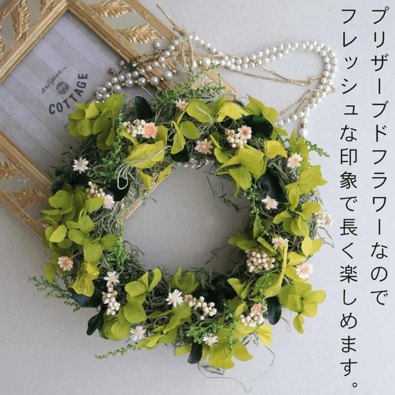 å¯è¯éè±äžæ ãã§ã¢ãªãŒãããªãŒã¹ ïŒ ãã³ã¯ ïŒ ããã¥ã©ã«ãããã ããªã¶ãŒãããã©ã¯ãŒ ãªãŒã¹ è± ã€ã³ããªã¢ è£
食å ã¢ã¬ã³ãž ã®ãã ãã¬ãŒã³ã åæµ·é äžå¯è¯éçº