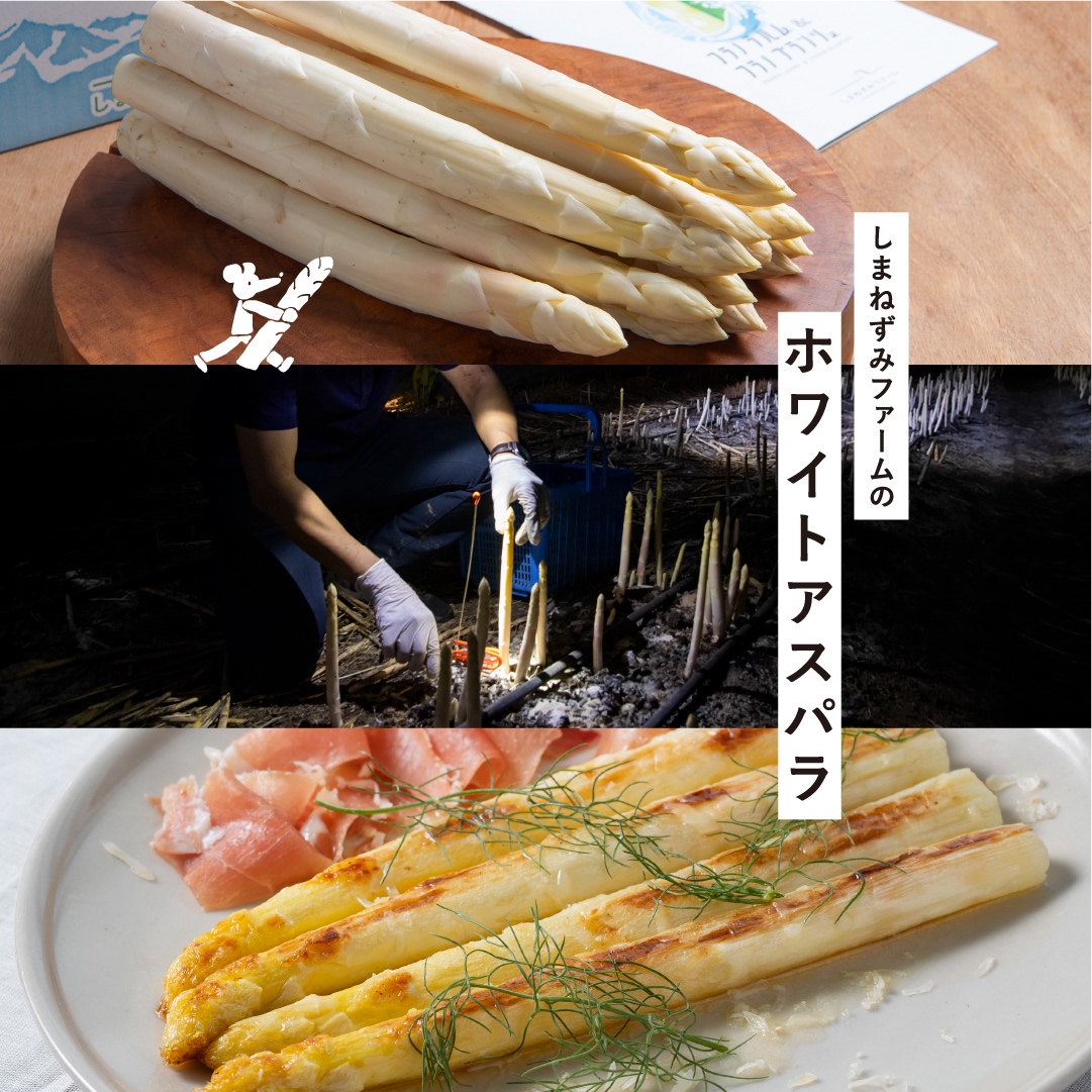 ã什å8幎ç£ãããŸããã¿ãã¡ãŒã éå® ãã¯ã€ãã¢ã¹ãã© 1.8kgÃãå¹³å·ã¯ã€ããªãŒãçœã¯ã€ã³ 750ml ã»ãã ( ãã¯ã€ãã¢ã¹ãã©ã¬ã¹ ã¢ã¹ãã© ã¢ã¹ãã©ã¬ã¹ éè ããã ã¯ã€ã³ ã¯ã€ããªãŒ åæµ·é äžå¯è¯é ããŸããã¿ãã¡ãŒã )