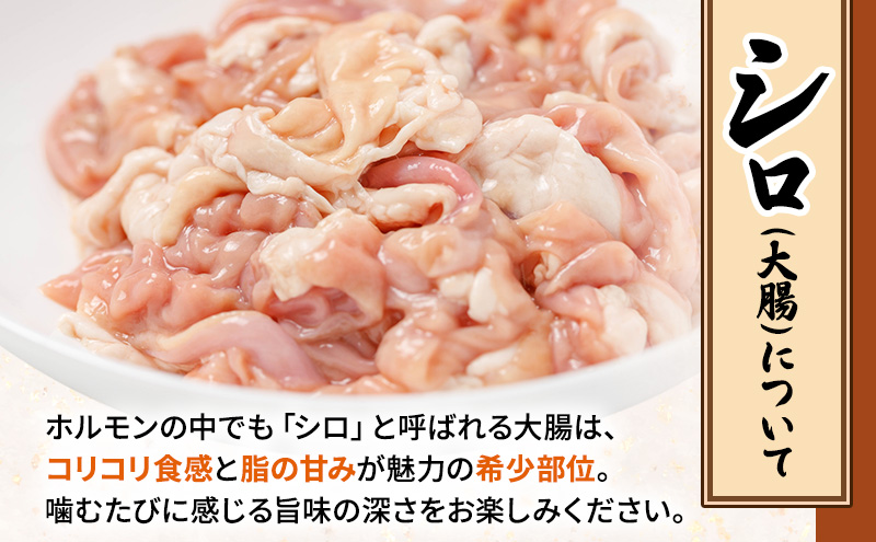 【2026年1月下旬から出荷】コリコリ食感がたまらない！北海道ブランド豚「かみふらのポーク」シロホルモン （塩味）6個セット 小分け・個包装 ( ホルモン 焼肉 塩 豚 豚肉 大腸 シロ ブランド豚 )