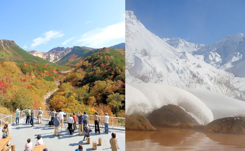 湯元凌雲閣 【 1泊朝食付 】 宿泊券 ホテル 旅館 旅行券 北海道 上富良野町 十勝岳