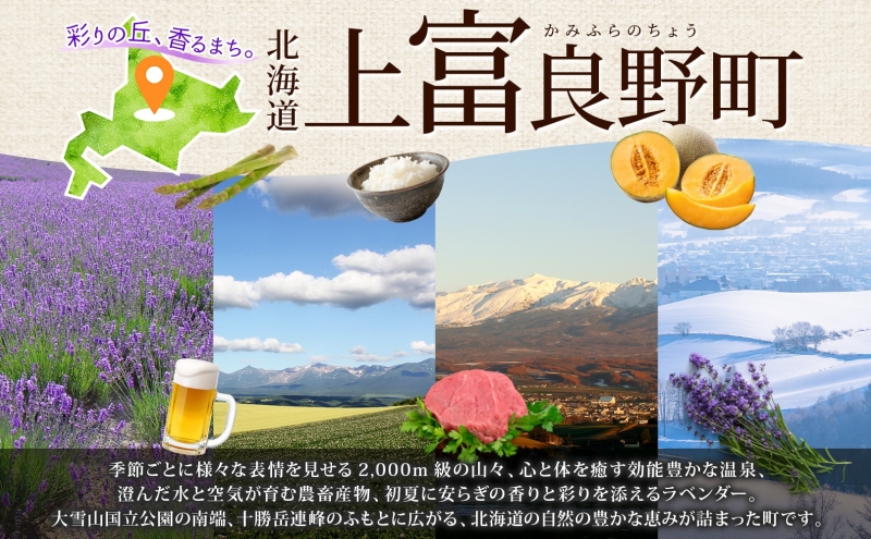【3ヵ月連続定期便】北海道産 ななつぼし 精米 20kg 米 特A 獲得 白米 ごはん 定期便 定期配送 3ヵ月 道産米 ブランド米 20キロ お米 ご飯 米 北海道米 JAふらの ホクレン ホクレン米 送料無料 北海道 上富良野町