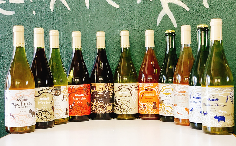 ワイン12ヵ月定期便◎月2本×12回◎多田ワイナリー◎野生酵母ワイン 北海道 上富良野町 ワイン 赤ワイン 白ワイン 微発泡ワイン オレンジワイン